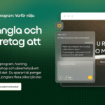 Aida AI Hemsideprogram